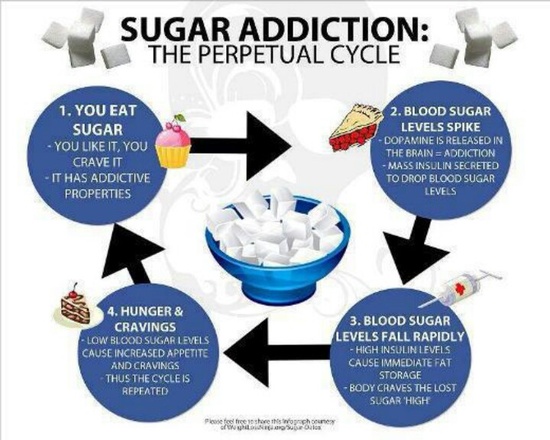 sugar cycle